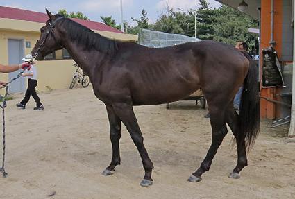 ���긯 ����