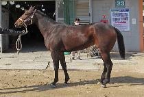 �������� (SEONGBUL CHUKJE) ����