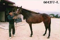 ��õ�Ǽ��� (GWACHONEUISEONTAEK) ����