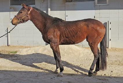 ĸƾ���� ����