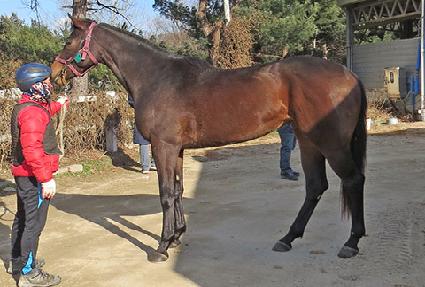 ������� ����