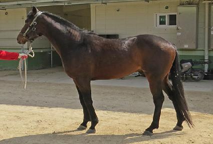 ���� ����