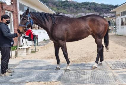 ����Ǯ���� ����