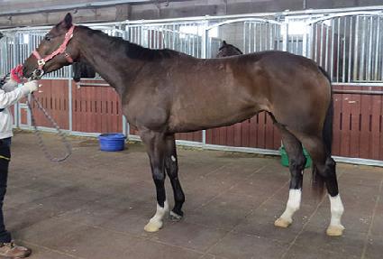 ������ ����