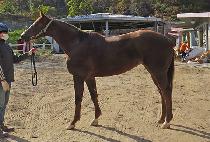 ���ø�Ʈ���� (COMPLETE JOY) ����