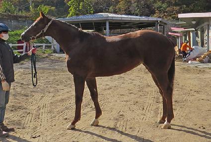 ���ø�Ʈ���� ����