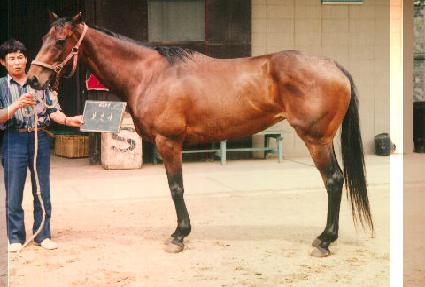 ���λ� ����