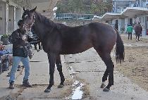 �����¾� (RIVER TAEYANG) ����