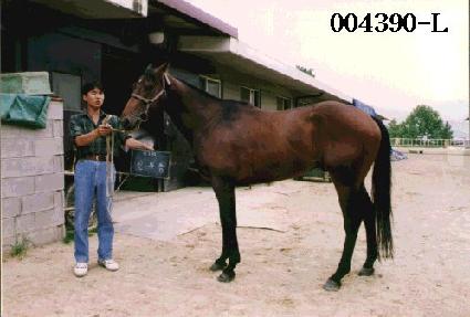 �Ź��� ����