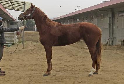 �ƶ�è�� ����