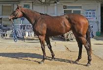 ��õõ�� (DAECHEON CHEONHA) ����