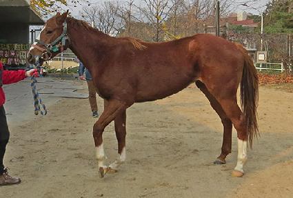 ��õè�� ����