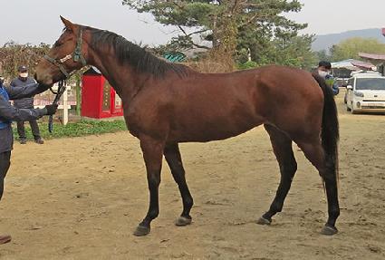 ���Ͻ� ����