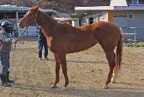 ������Ÿ�� (M J TIME) ����