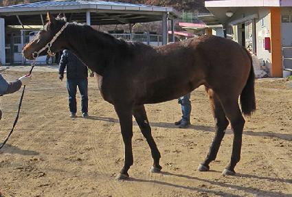 ����Ŀ� ����