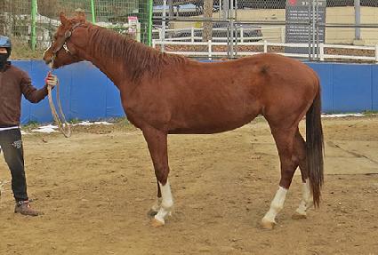 �������� ����