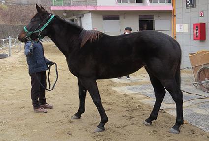 Ƽ��� ����