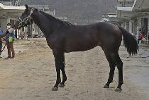 ����Ŭ���� (GUKDAE CLASS) ����