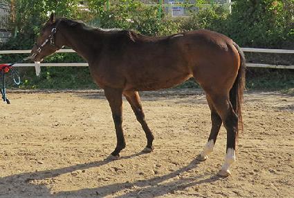 �۾Ϻ���Ʈ ����