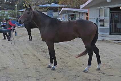 Ƽ������ ����