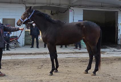 Ƽ������ ����