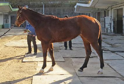 �Ѱ������� ����