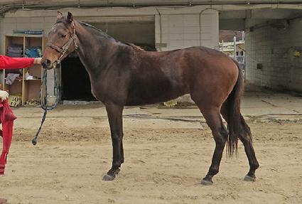 �����Ǻ� ����