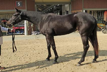 �и����� ����