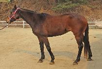 SANGSAN GIJEOK picture