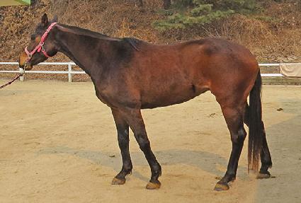 ������ ����