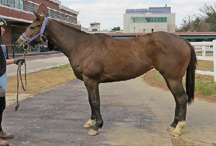 �Ƹ��ٺ��� ����