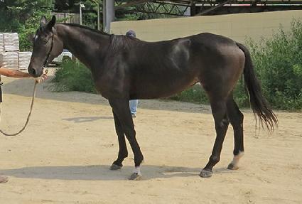 �����ġ ����