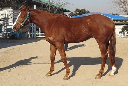 �������̼� ����