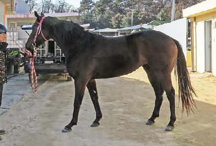 ����Ƽ�� ����