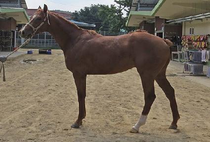 �򽺰� ����