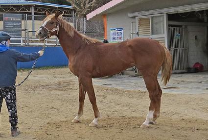 ����� ����