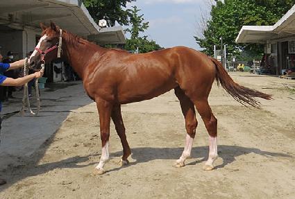 �������� ����