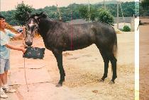 ���� (SEON NYEO) ����