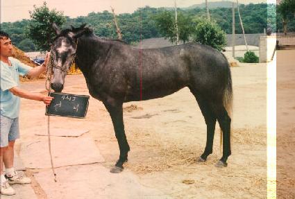 ���� ����