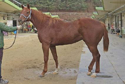 ���̸��� ����