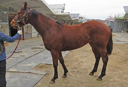 ���촩�� ����