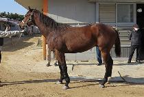 �������Ʈ (NAMSAN BYTE) ����