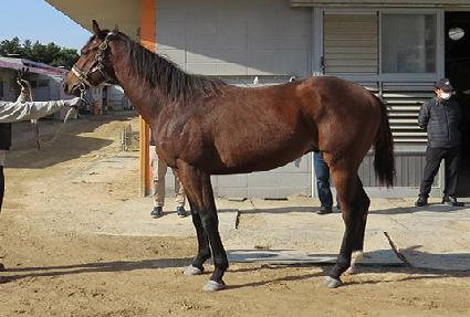 �������Ʈ ����