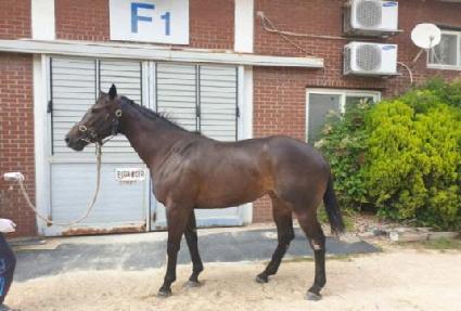 �ν»�ķ�� ����