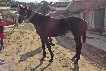 ���̷ε� ����