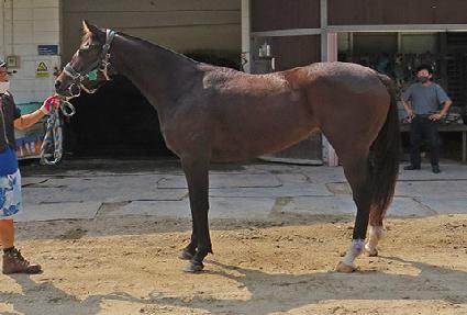 õ���� ����