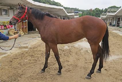 �ǿ�������� ����