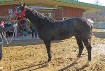 �������� (EUNHYE GUY) ����