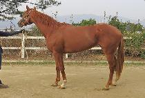 ���ִ뼼 (JILJU DAESE) ����