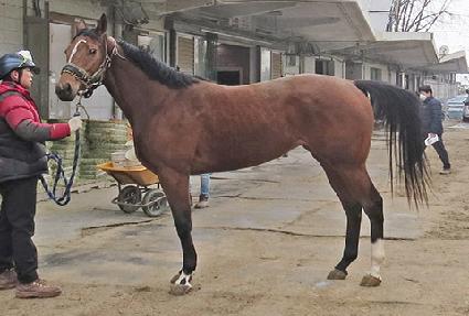 �����̵�� ����